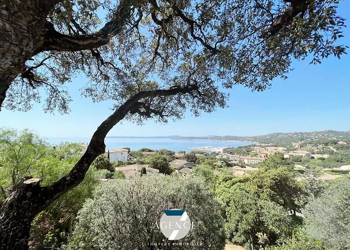Ibiza *